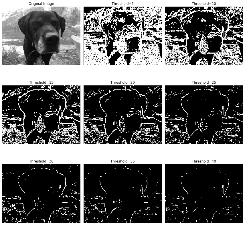 Edge detection using different thresholds for the value of the gradient on the grayscale image